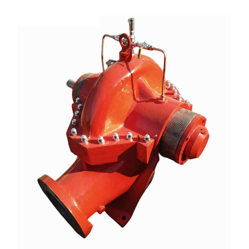 Double Suction Water Pump